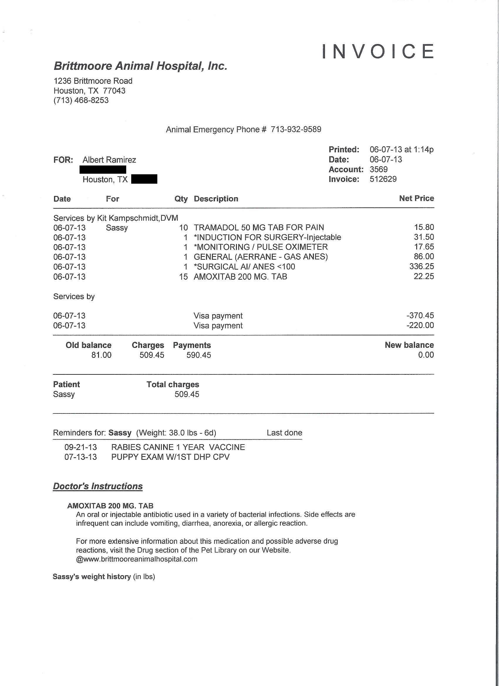 Hollingsworth Bull X Sassy Semen